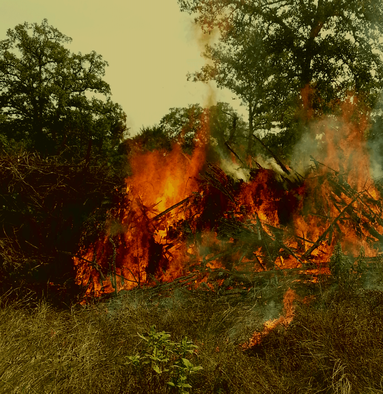 Controlled burn in the Texas Hill Country